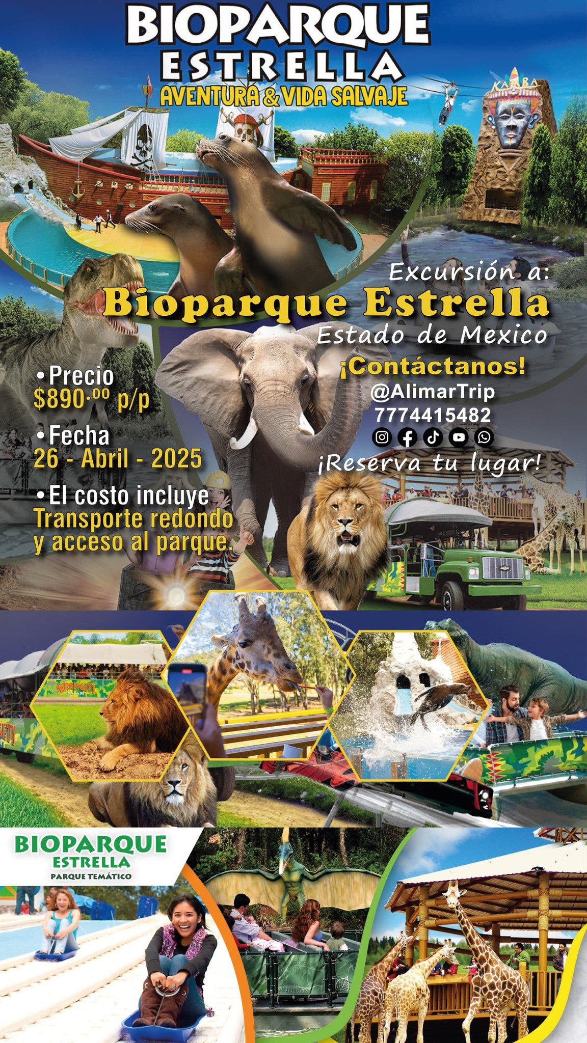 Excursión Mariposa Monarca